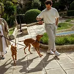 Corinthia Palace Malta فندق أتارد