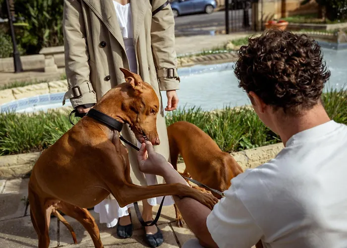 Corinthia Palace Malta Отель Аттард